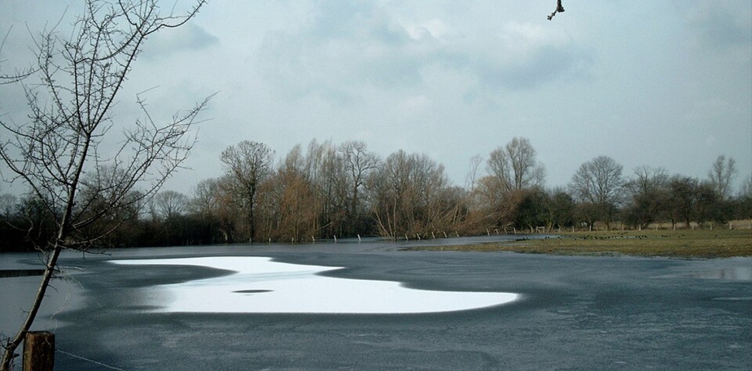 Duisburg bringt Zäune in Rheinaue Walsum auf, um brütende Vögel zu schützen