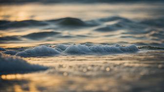 Entdeckungsreise durch Damp: Unvergessliche Sehenswürdigkeiten an der Ostsee