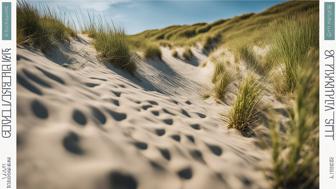 Entdeckungsreise in List auf Sylt: Must-See Sehenswürdigkeiten und Insider-Tipps