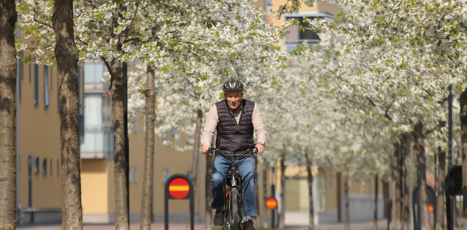 Köln bietet kostenlose Fahrradauffrischungen für Menschen ab 65