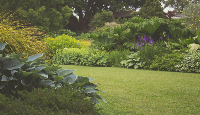 Mein schöner Garten: Zwischen Exoten und heimischen Gattungen