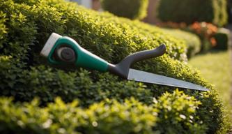 Neue Regeln für den Heckenschnitt in NRW: Tipps und Tricks für den Gartenliebhaber