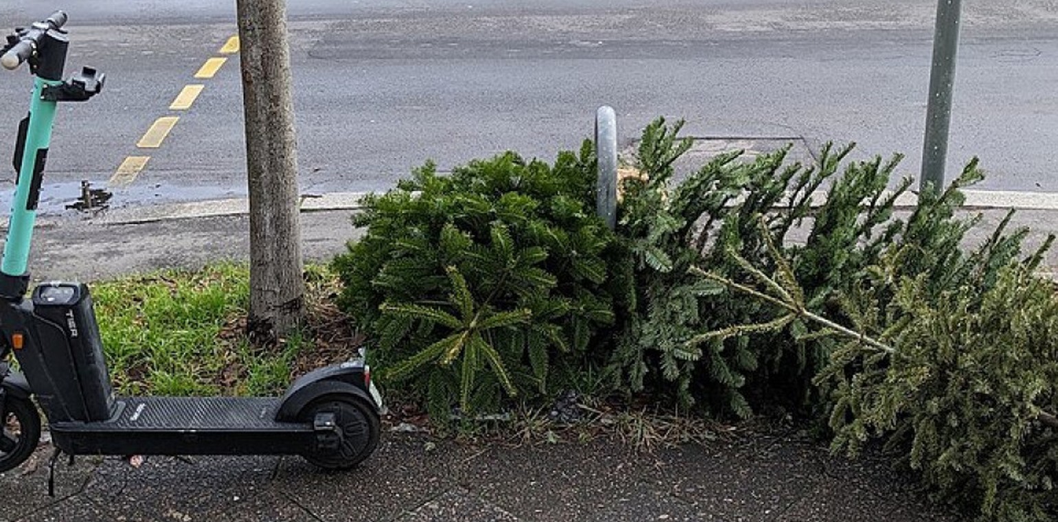 Recklinghausen startet Baumabfuhr ab 12. Januar nach Stadtteilplan