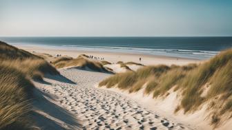 Sehenswürdigkeiten und Attraktionen in Blåvand, Dänemark: Ihr perfekter Reiseführer