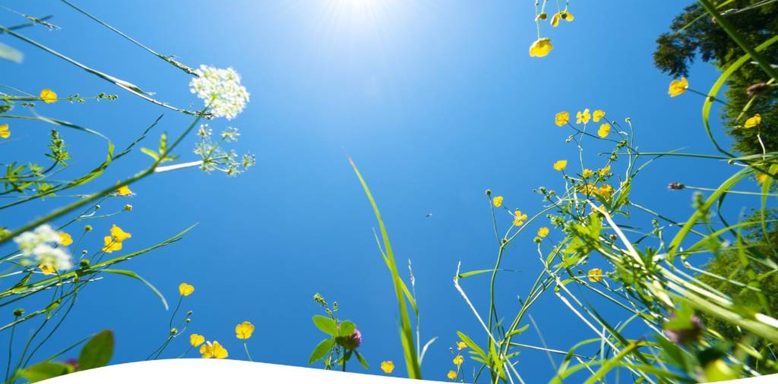 Sommerfotos aus Recklinghausen Süd sollen als Postkarten erscheinen