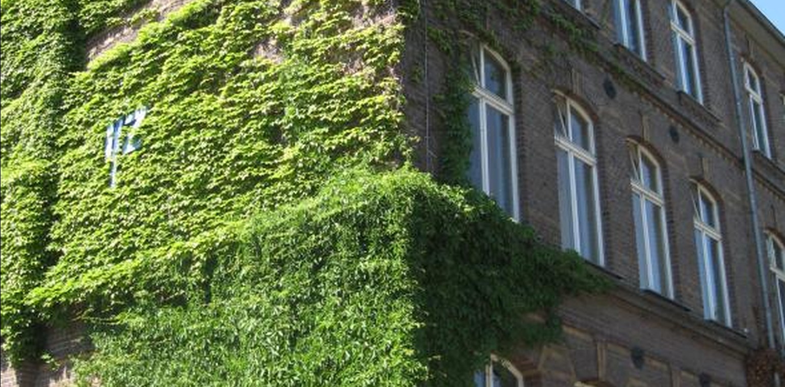 VHS Duisburg veranstaltet fünftägige Englisch-Intensivkurse für Einsteiger und Fortgeschrittene im Januar 2026